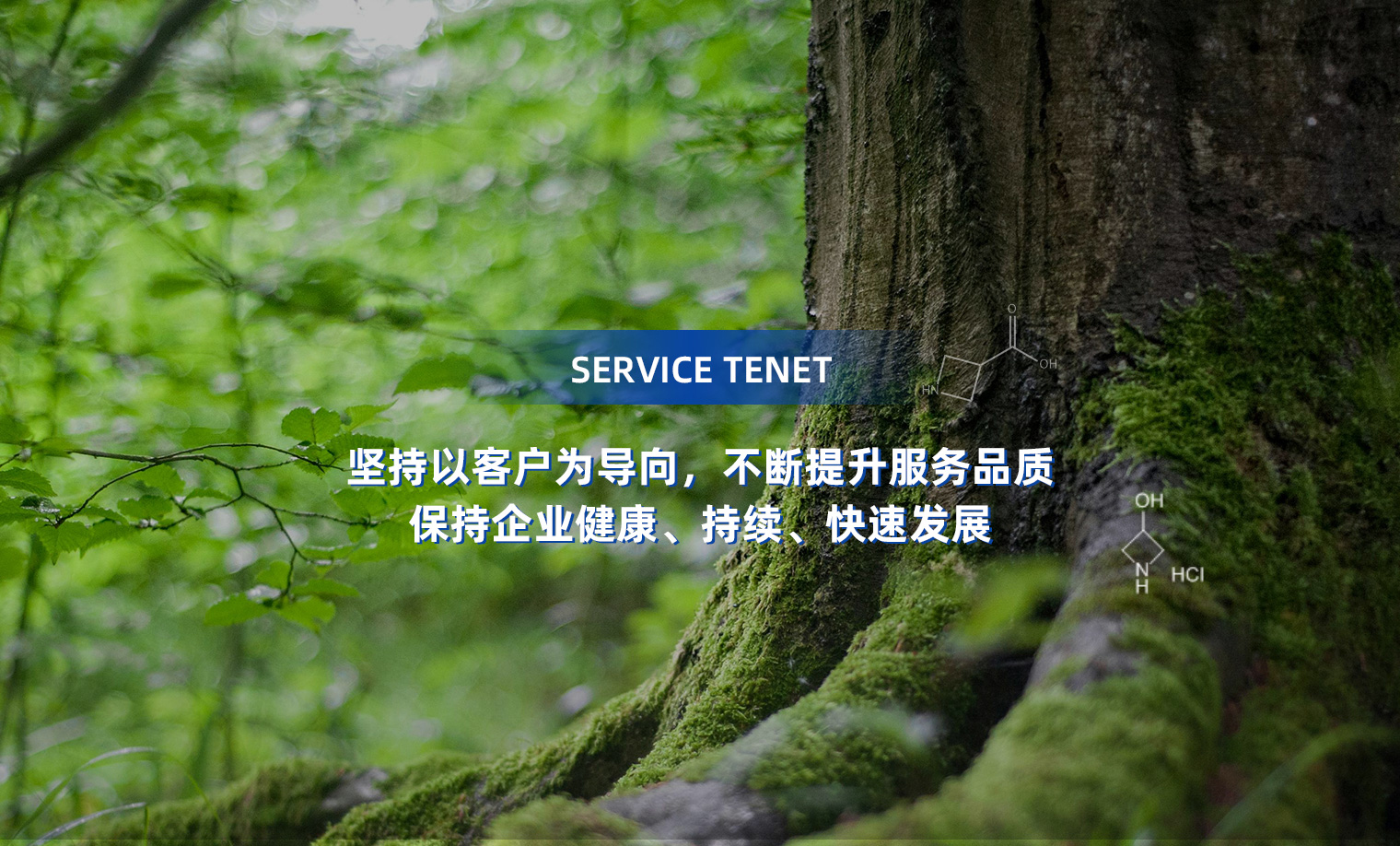 连云港圣丰化工有限公司